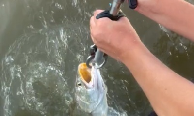 Matagorda Report Video 0