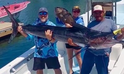 San Jose del Cabo Report Video 0
