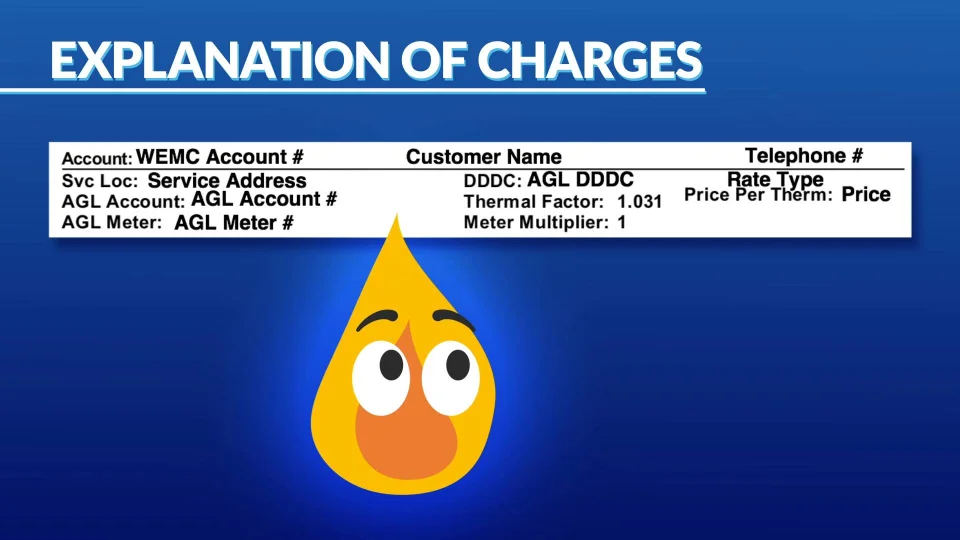 Understanding Your Bill