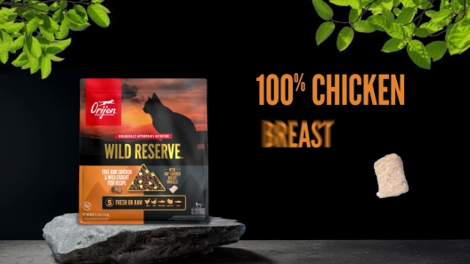 ORIJEN Wild Reserve Wild-Caught Fish Recipe Dry Cat Food
