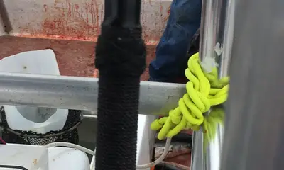 Ensenada Report Video 0