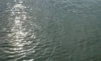 Folly Beach Report Video 0
