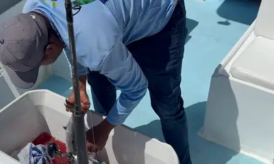 San Jose del Cabo Report Video 0