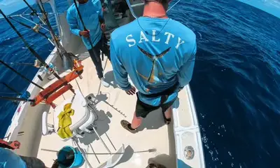 Sandys Report Video 0