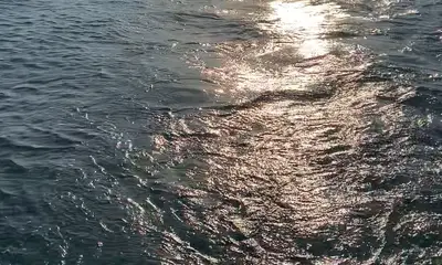 Erie Report Video 0
