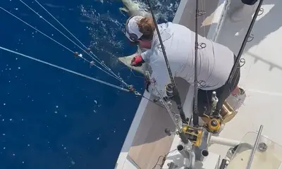 Miami Report Video 0
