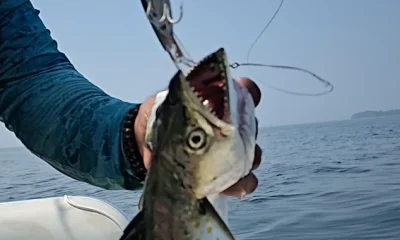 Panama City Report Video 1