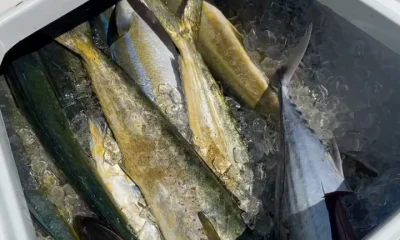 Key Biscayne Report Video 0