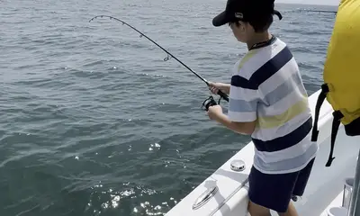 Barnstable Report Video 0