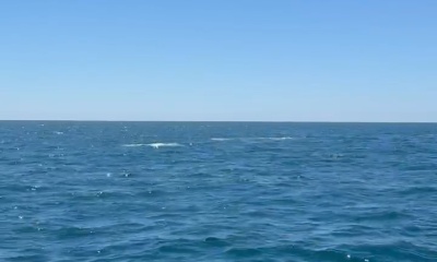 Dana Point Video Report 0