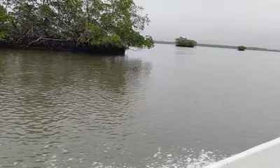 Nice trip and great captain!