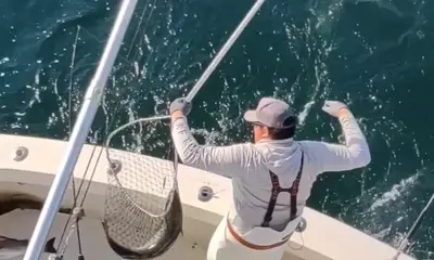 Montauk Report Video 0