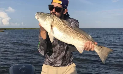 St. Bernard Report Video 0