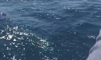 Carolina Beach Report Video 0
