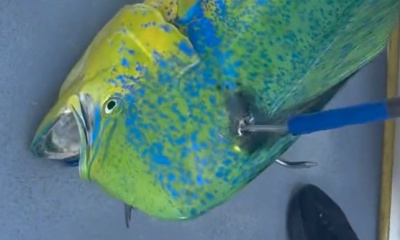 Checking one off my bucket list\u2705