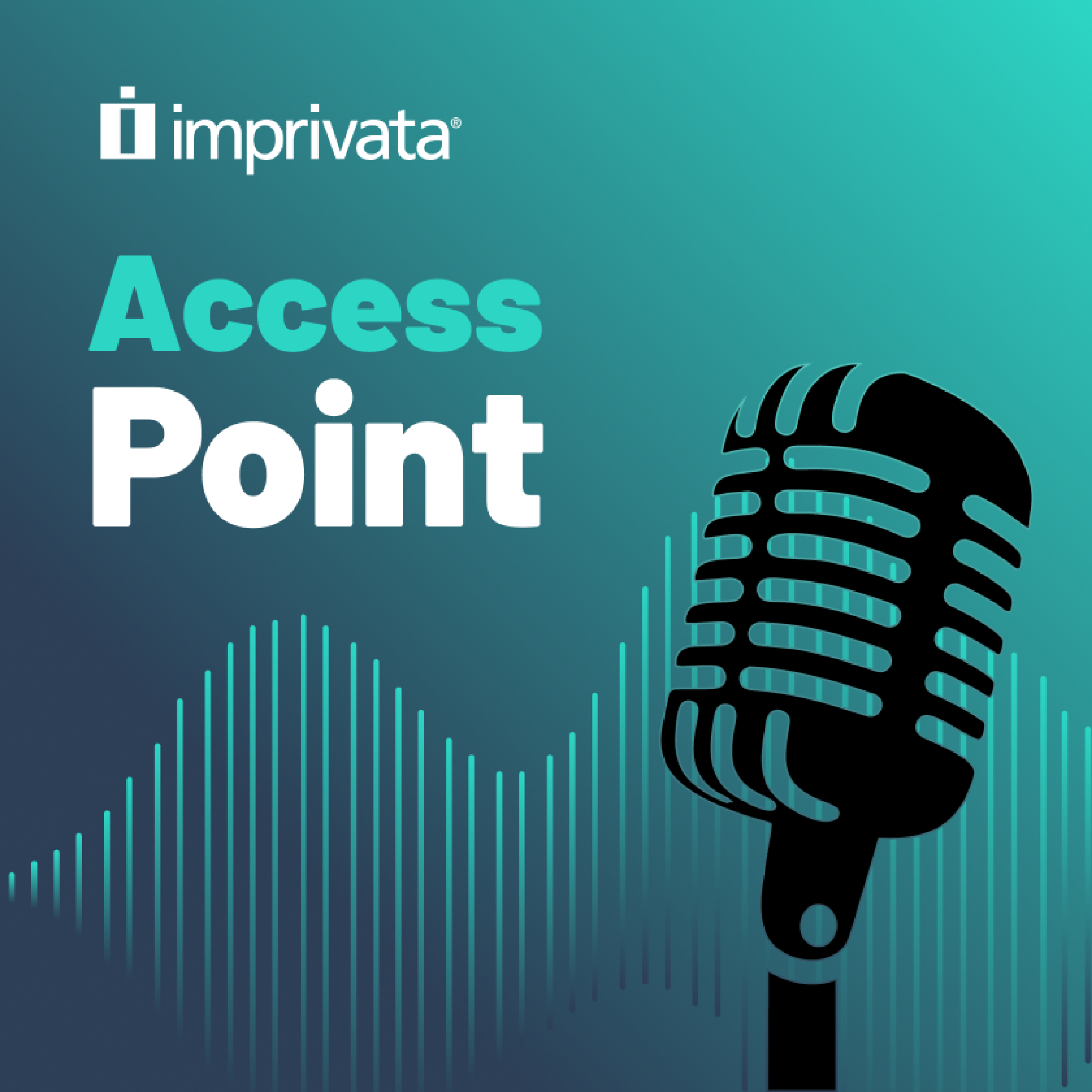 Access Point