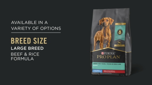 Purina Pro Plan Puppy Shredded Blend Chicken & Rice Formula with Probiotics Dry Dog Food