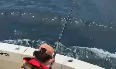 Best experience ever! 