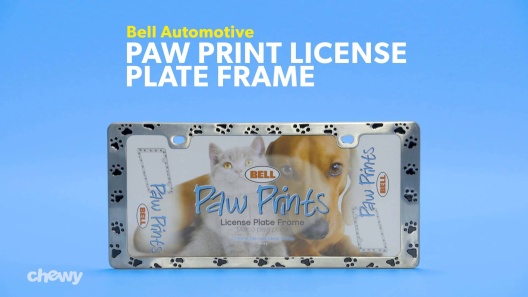 Play Video: Learn More About Bell Automotive From Our Team of Experts