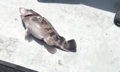 Virginia Beach Report Video 0
