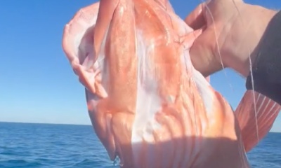 Fish and trip of a lifetime!! 