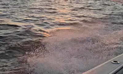 2\/3 OF A TAMPA GRAND SLAM