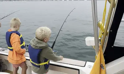 San Diego Report Video 0