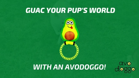 Play Video: Learn More About Avo Doggo From Our Team of Experts
