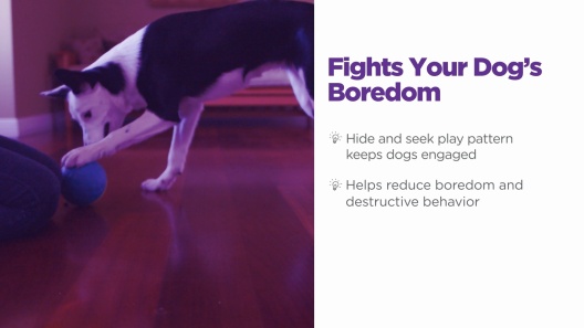 Nina Ottosson by Outward Hound Treat Tumble Puzzle Game Dog Toy