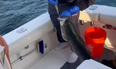Stonington Report Video 0