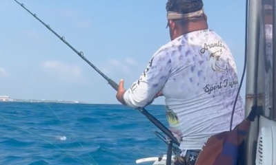 No fish