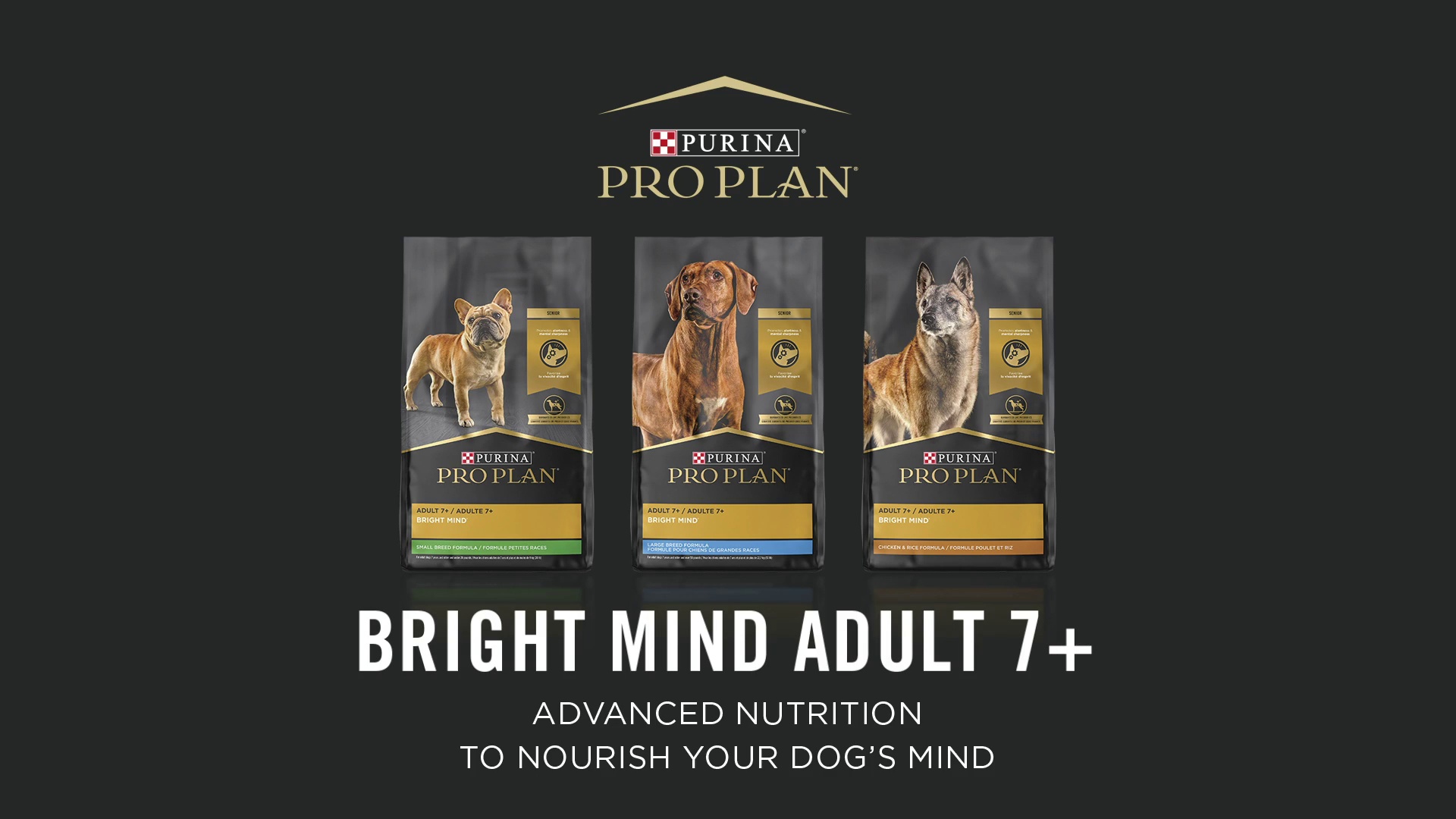 Pro plan bright mind small breed sale