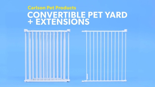 Play Video: Learn More About Carlson Pet Products From Our Team of Experts
