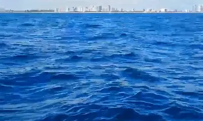 Knowledgeable mariner