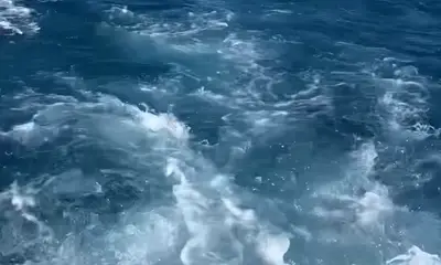 Key West Report Video 0