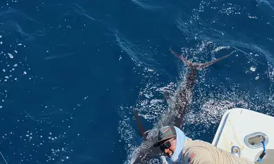 La Paz Видео отчет 0