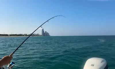 North Miami Report Video 0