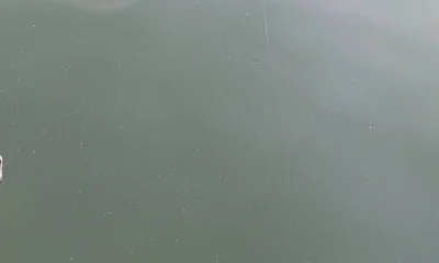 Cumming Report Video 0