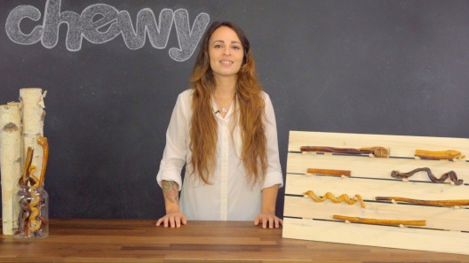 Play Video: Learn More About Bones & Chews From Our Team of Experts