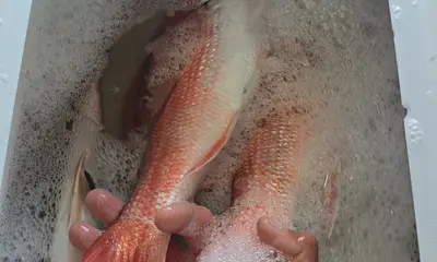 South Padre Island Report Video 1