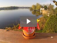 Video for Hummingbird Trainer Starter Kit