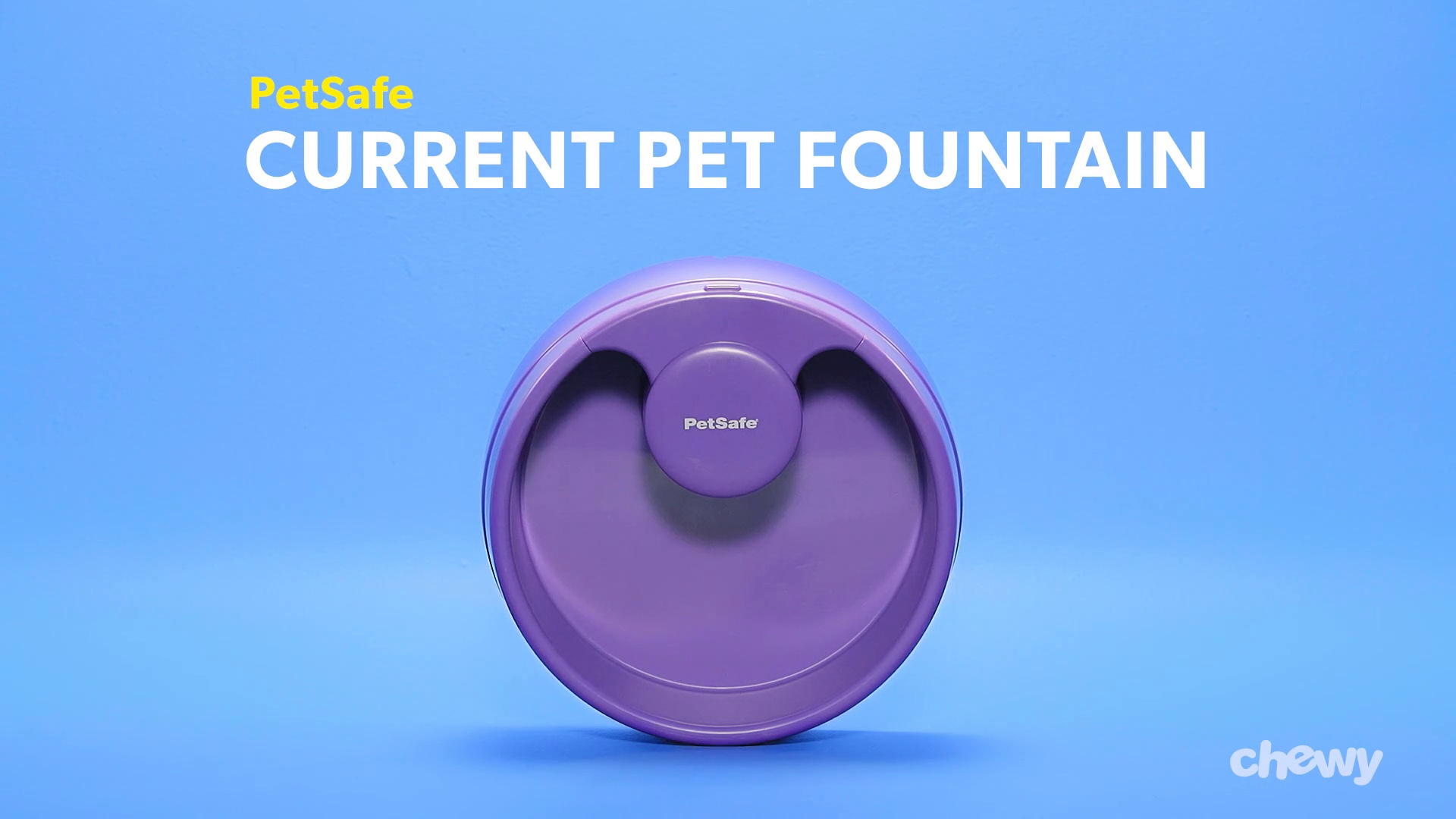 Petsafe current circulating pet fountain hotsell