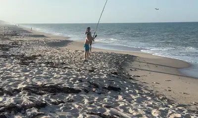 great day on the beach