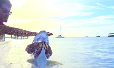 Half day trip with Alex