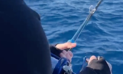 San Jose del Cabo Report Video 2