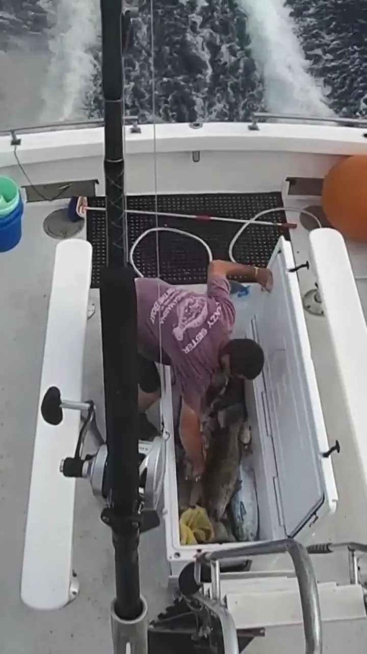 Business Card: Party Time – 40' Sportfish