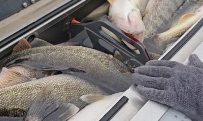 Lakeside Marblehead Report Video 0