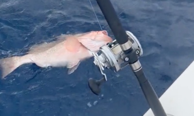 Exhausted from hauling in fish