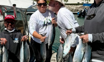 San Jose del Cabo Report Video 0