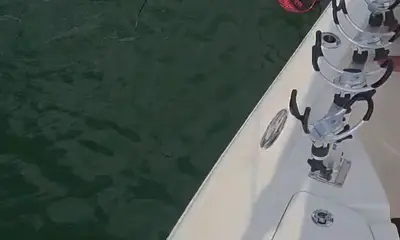 Savannah River Report Video 2